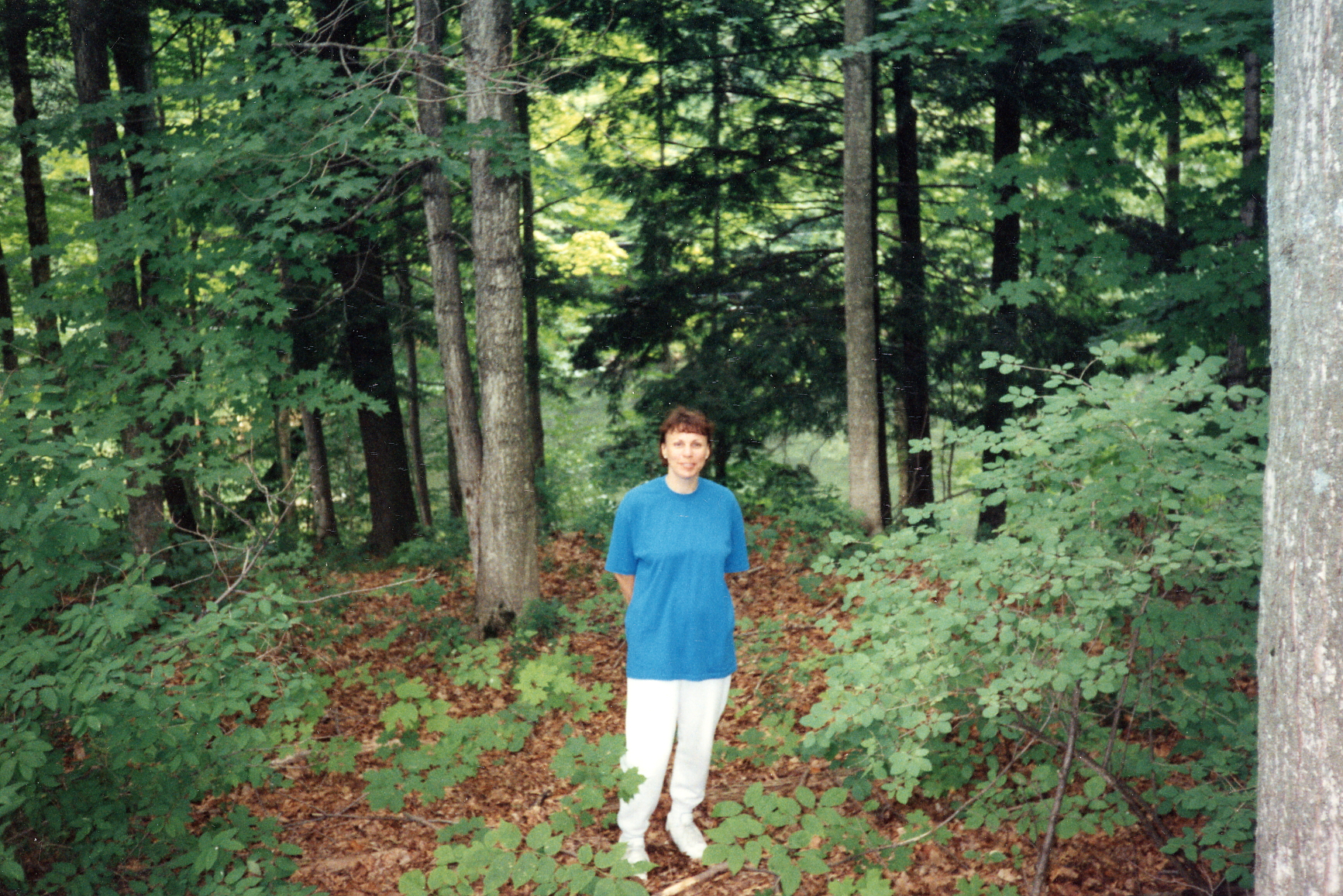 Image 42